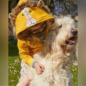 Mini Boden Fun Shaggy-lined Lion Hoodie